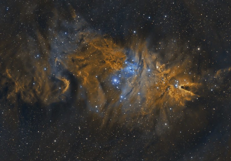 49870096411_37ec443065_c (2)