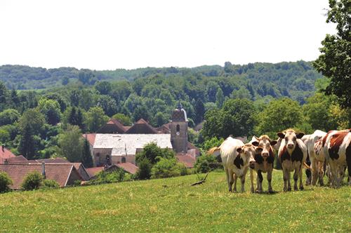 Le Mont du Chanois