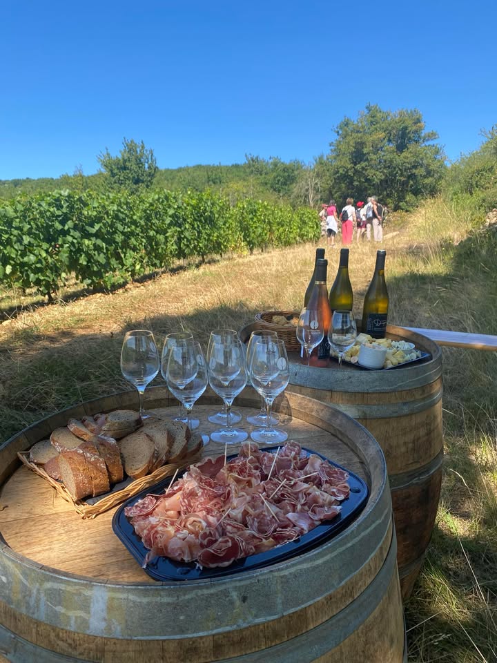 mâchon dans les vignes