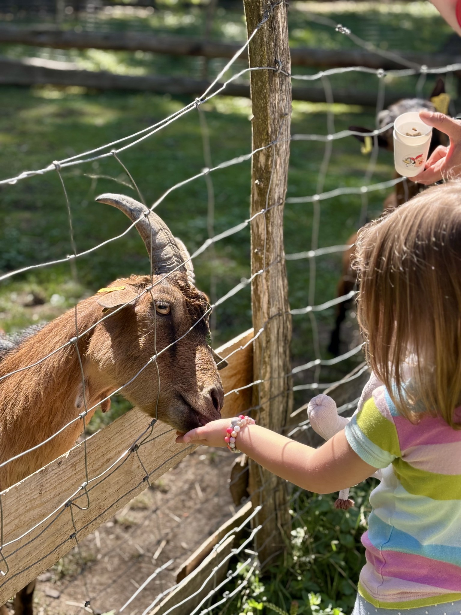Vacances D'été à Lama Loisirs