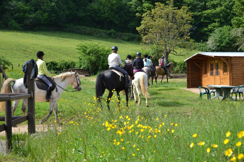 Stages et séjours ados, promenades à cheval et à poney