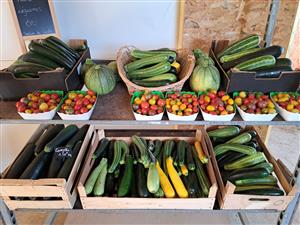 Les jardins de Linette