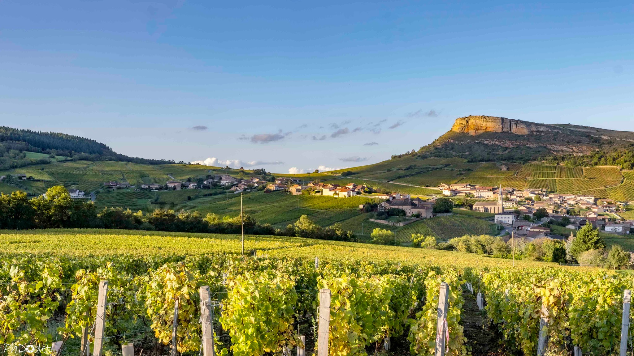 539686853_10231669967666622_3759956731996910291_n