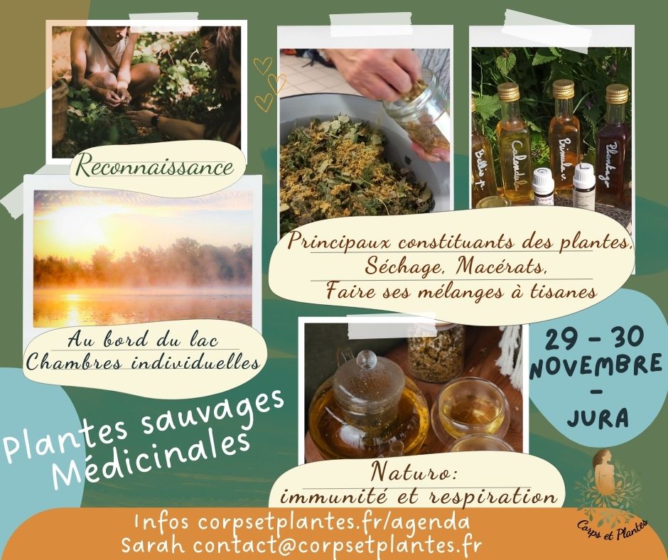 542756887_122250024098035535_8521077266309187613_n