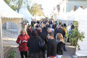 Fête des Vins