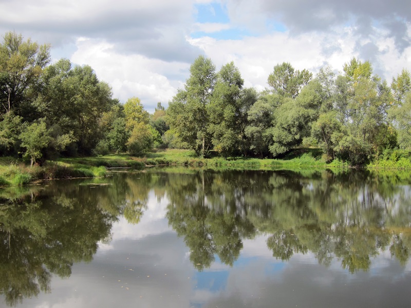 A la rencontre des insectes