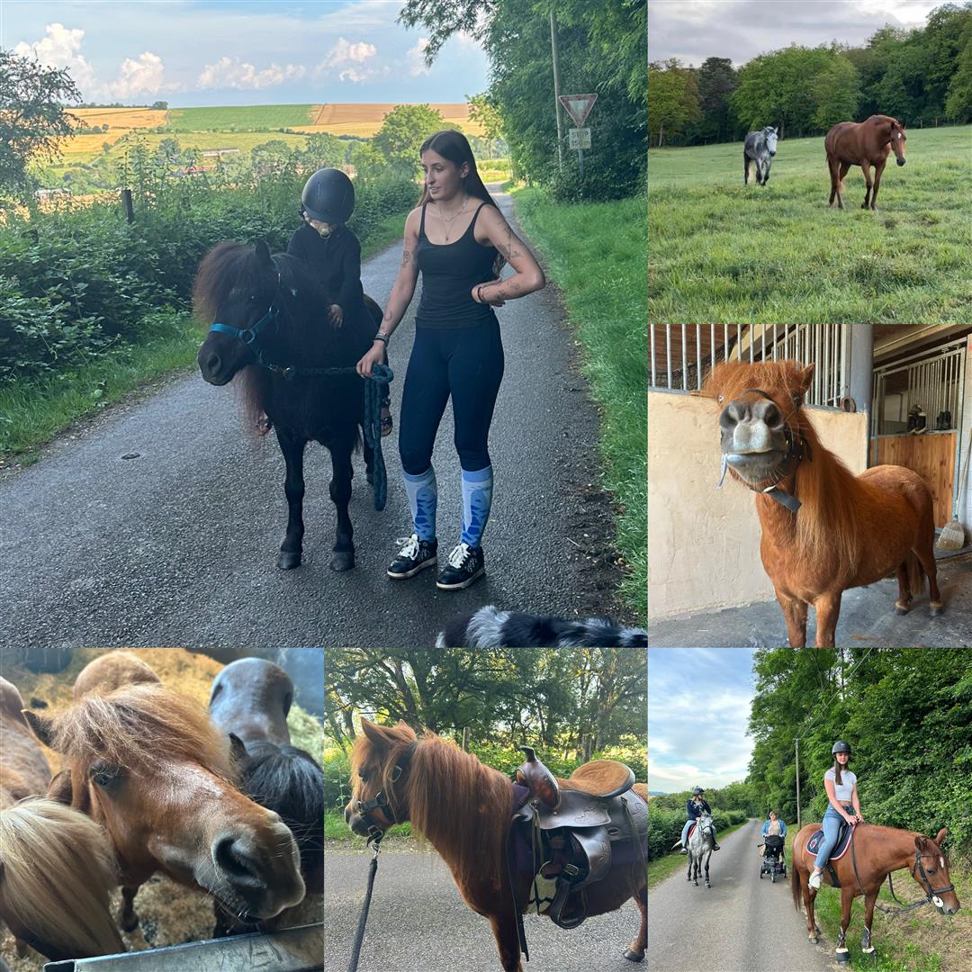 Domaine Équestre du Treuil