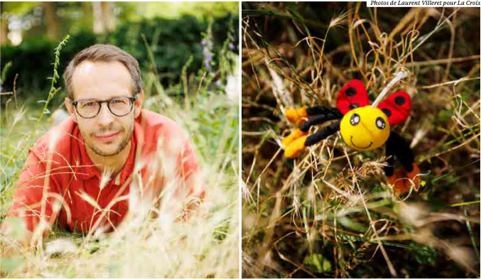 Sur les traces des insectes...