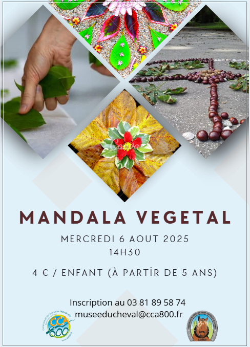 6 aout - mandala - levier