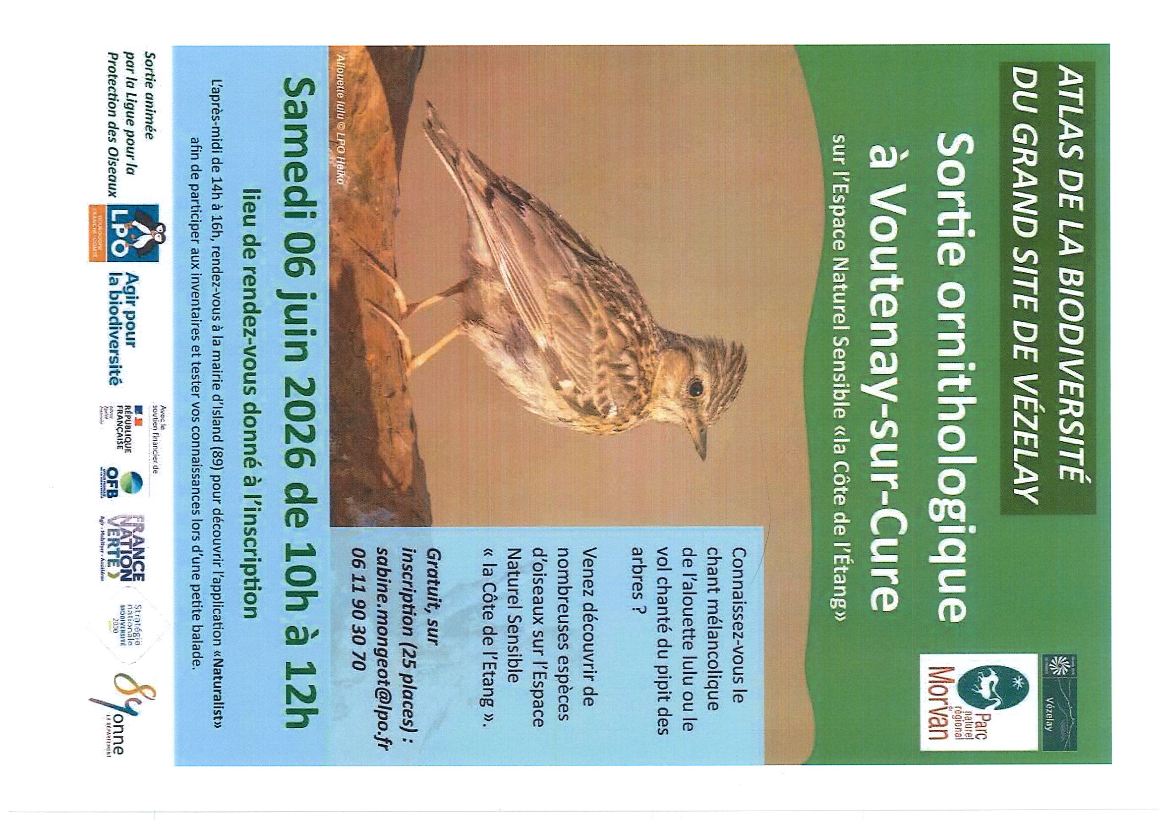 Sortie ornithologique à Voutenay-sur-Cure