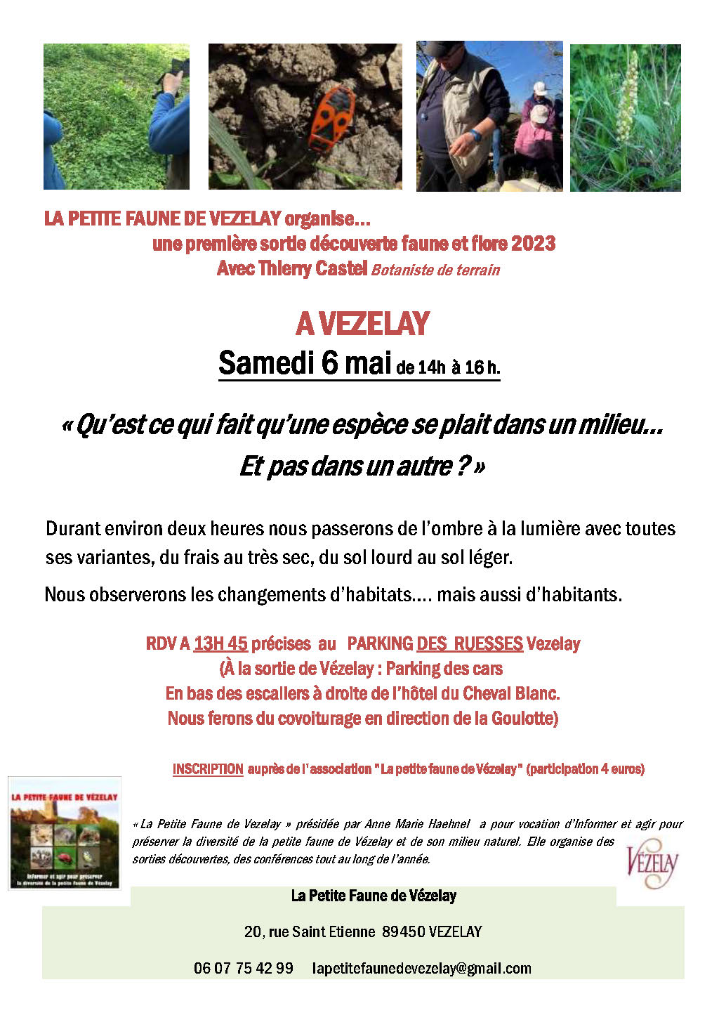 SORTIE DÉCOUVERTE FAUNE ET FLORE