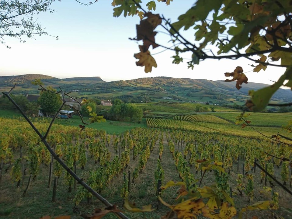 vue prise sur un des parcours