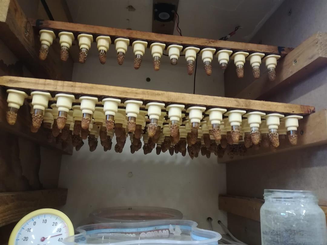 Le Rucher des Morelles