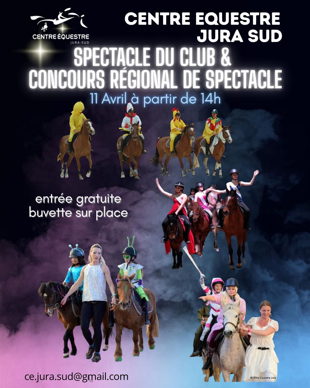 Spectacle équestre