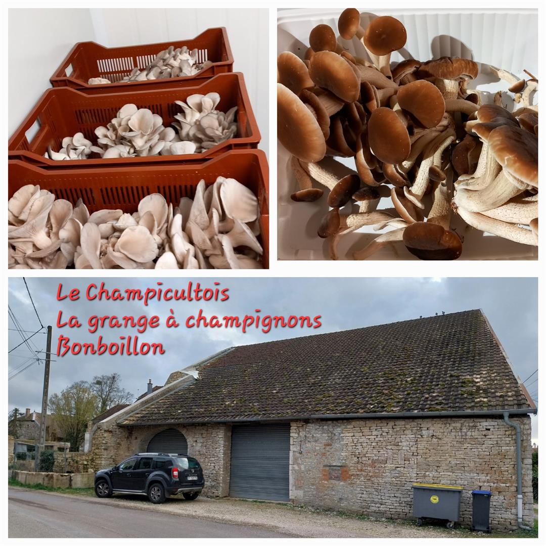 Le Champicultois