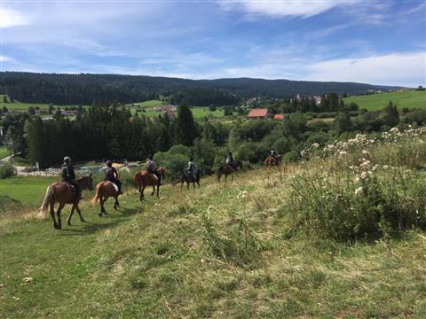 Centre équestre Les Écuries du Bois Ailé