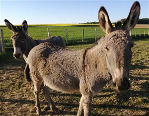 Parc animalier Au Gré du Pré