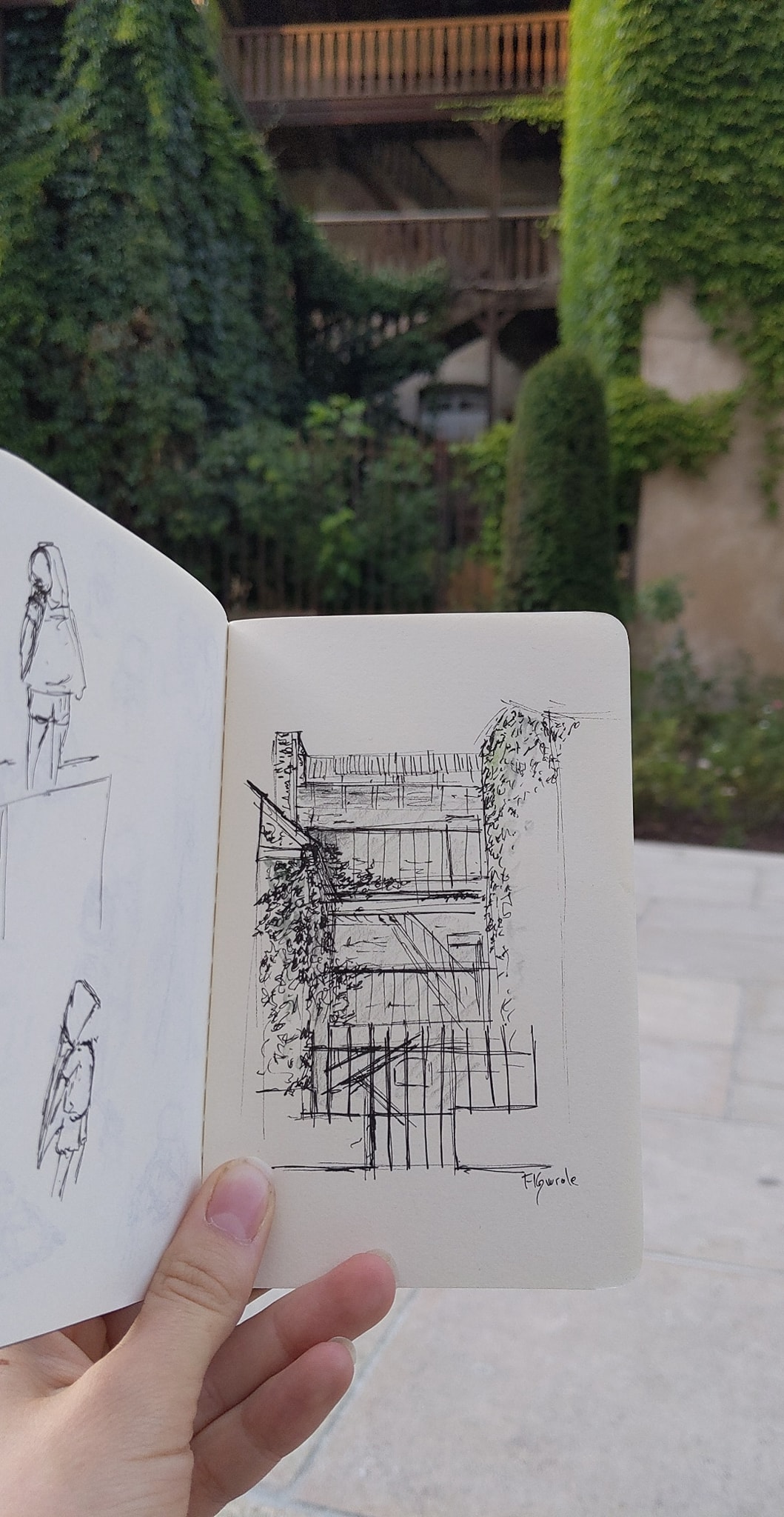 Exemple dessin d'observation