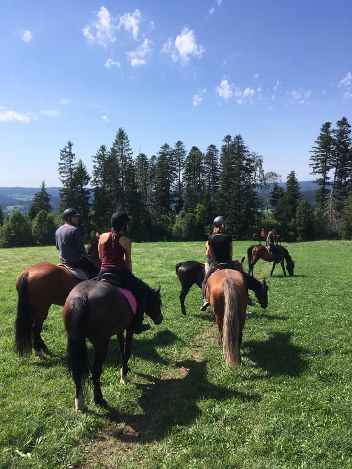 Centre équestre Les Écuries du Bois Ailé