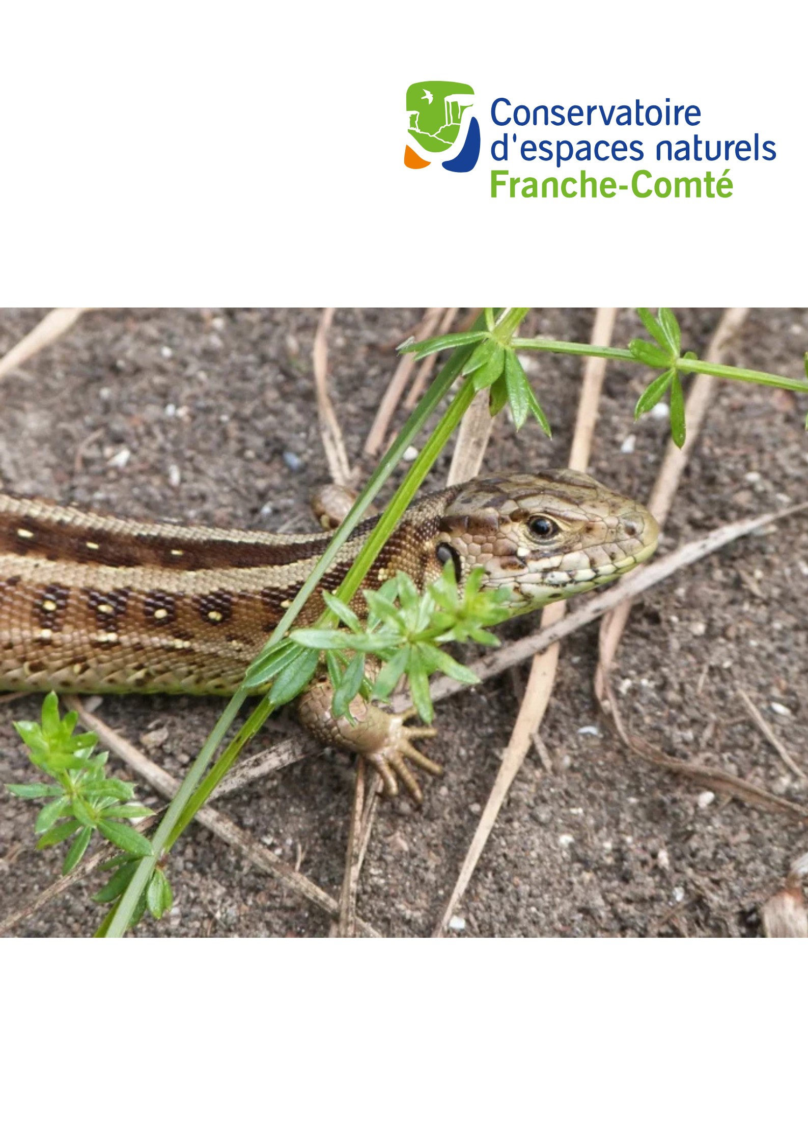 Biodiversité en Combe d'Ain, l'héritage des glaciers