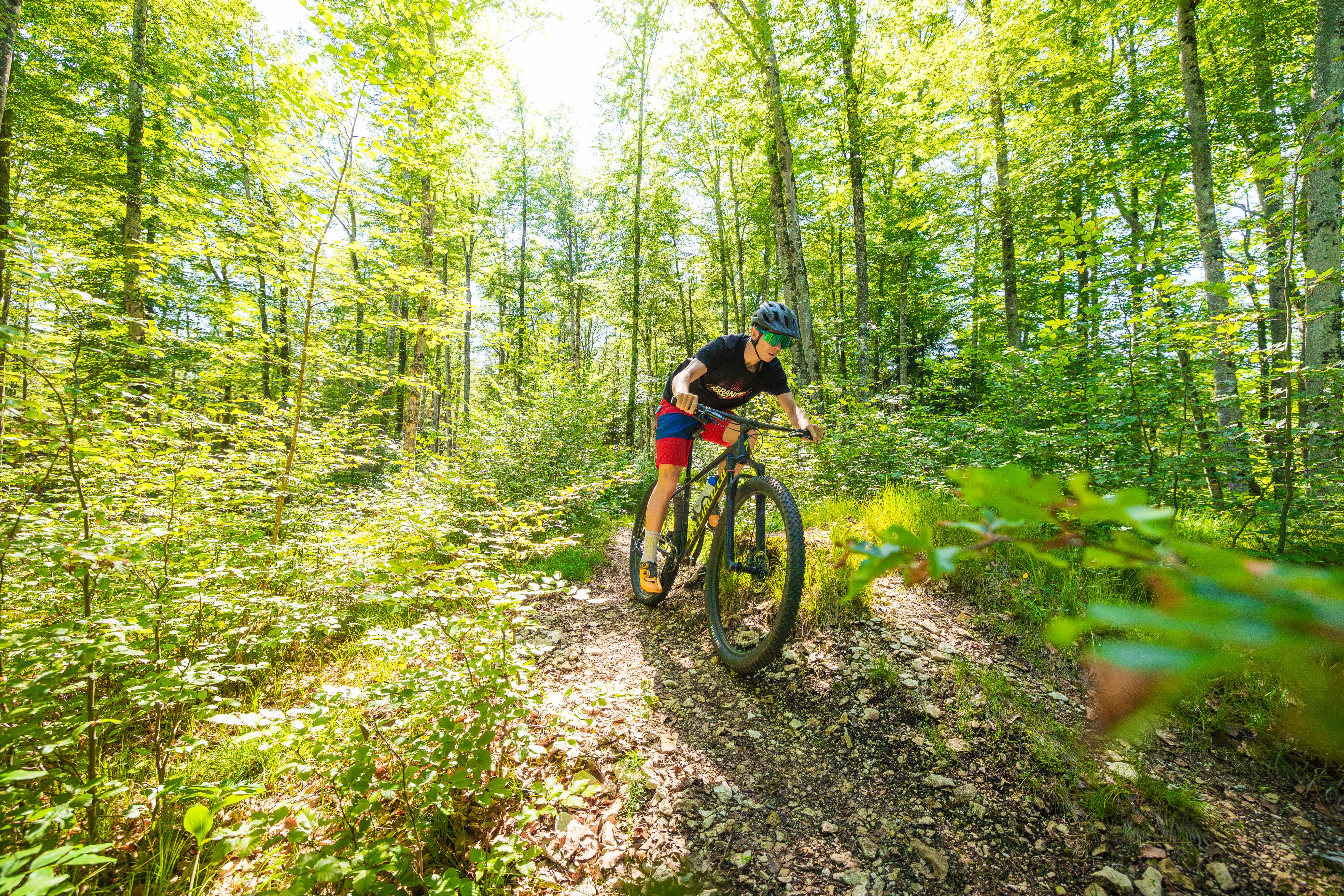 Sortie VTT gratuite avec La Forestière