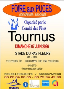 Vide grenier - Foire aux puces - Brocante