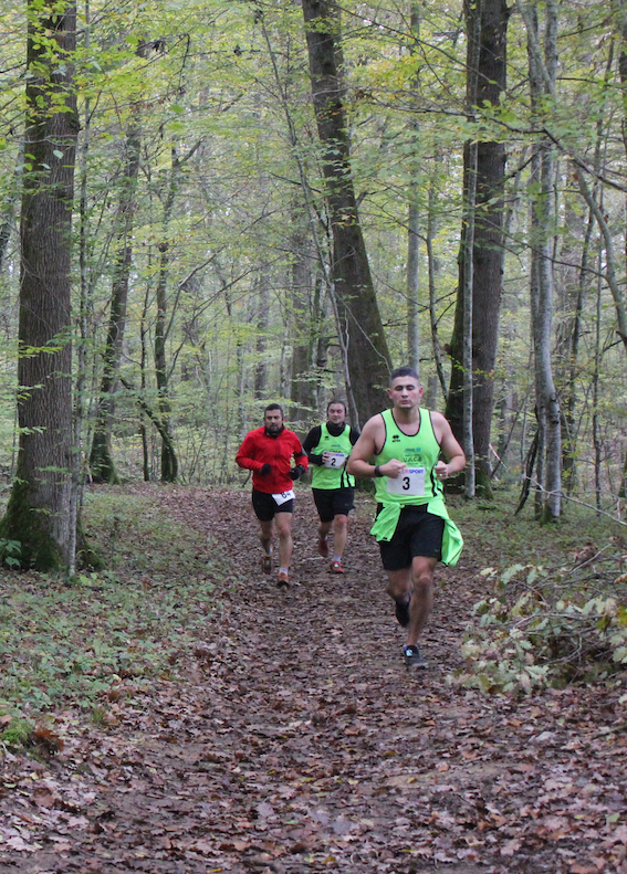 Des parcours de 21 km, 11km, marche nordique