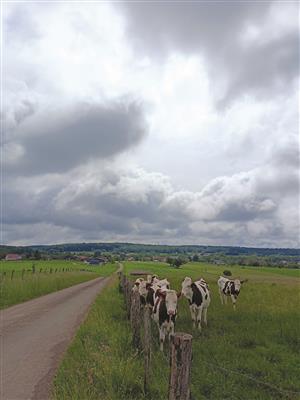 La Grande Vallée