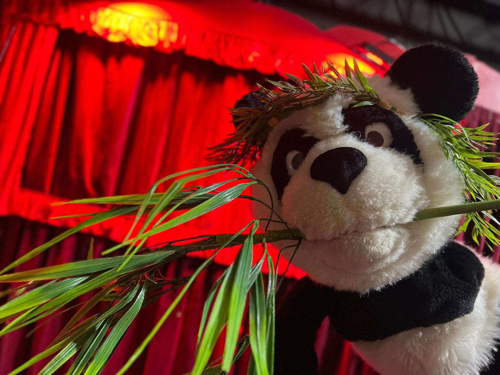 Ludo le panda