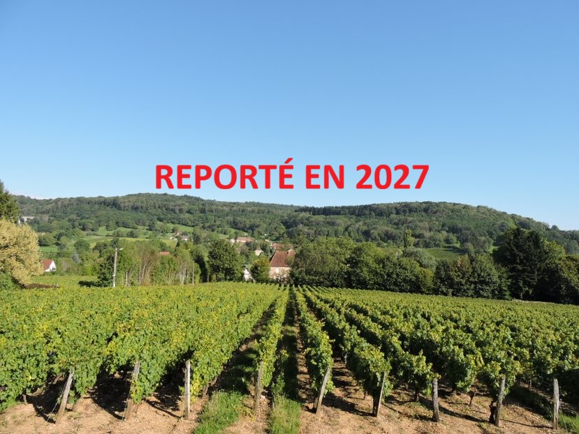 Rando des Vignes