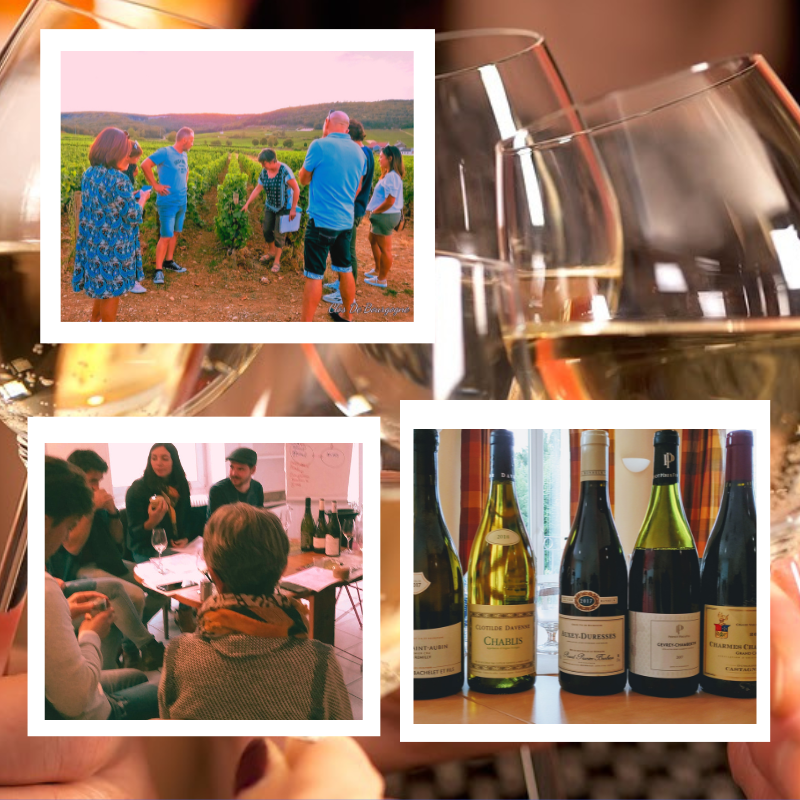 clos de Bourgogne, Master class découverte” Oenologie et dégustation”  des vins de Bourgogne