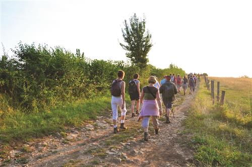 Le panoramique de la Vallée de la Saône