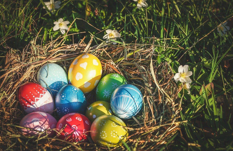 Chasse aux oeufs à l'arboretum