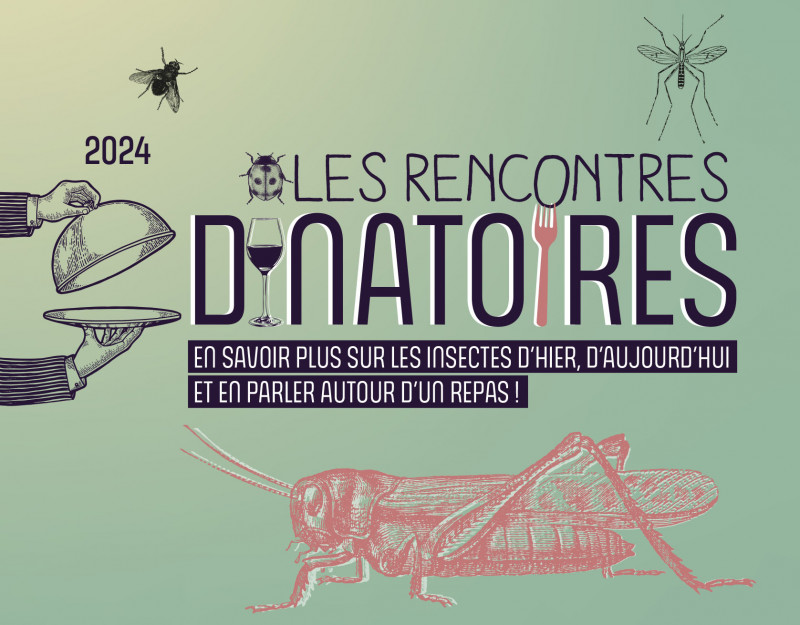 rencontres dinatoires