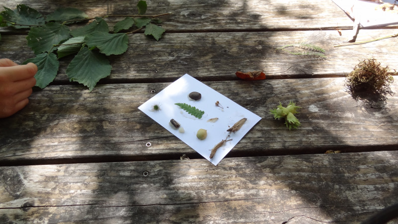 Découverte des oiseaux