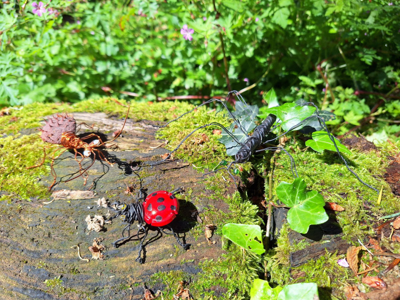 Insectes en métal