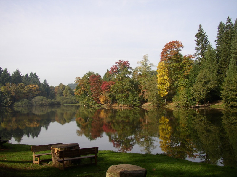 magie-automne-pezanin