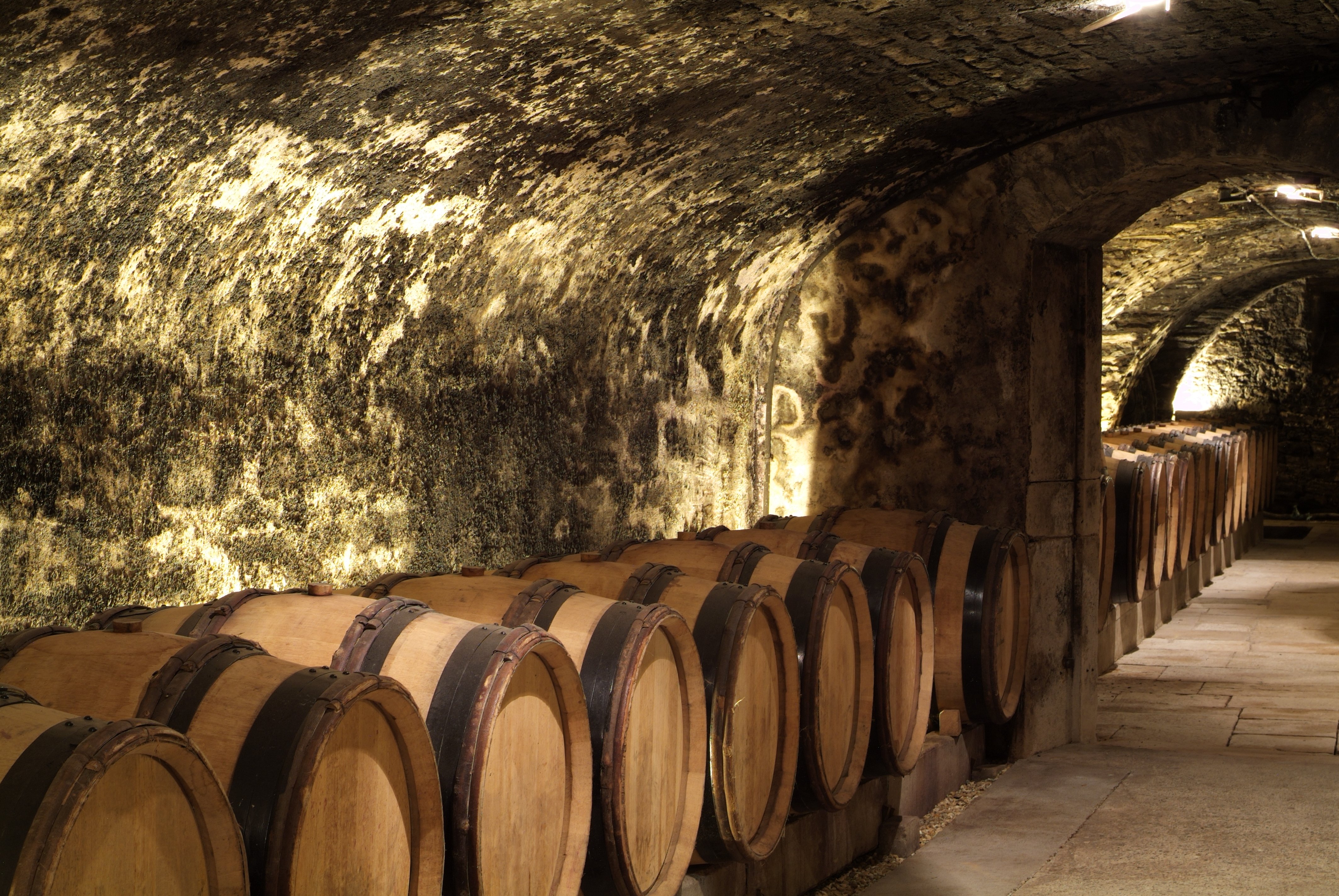Caves de l'Hôtel-Dieu