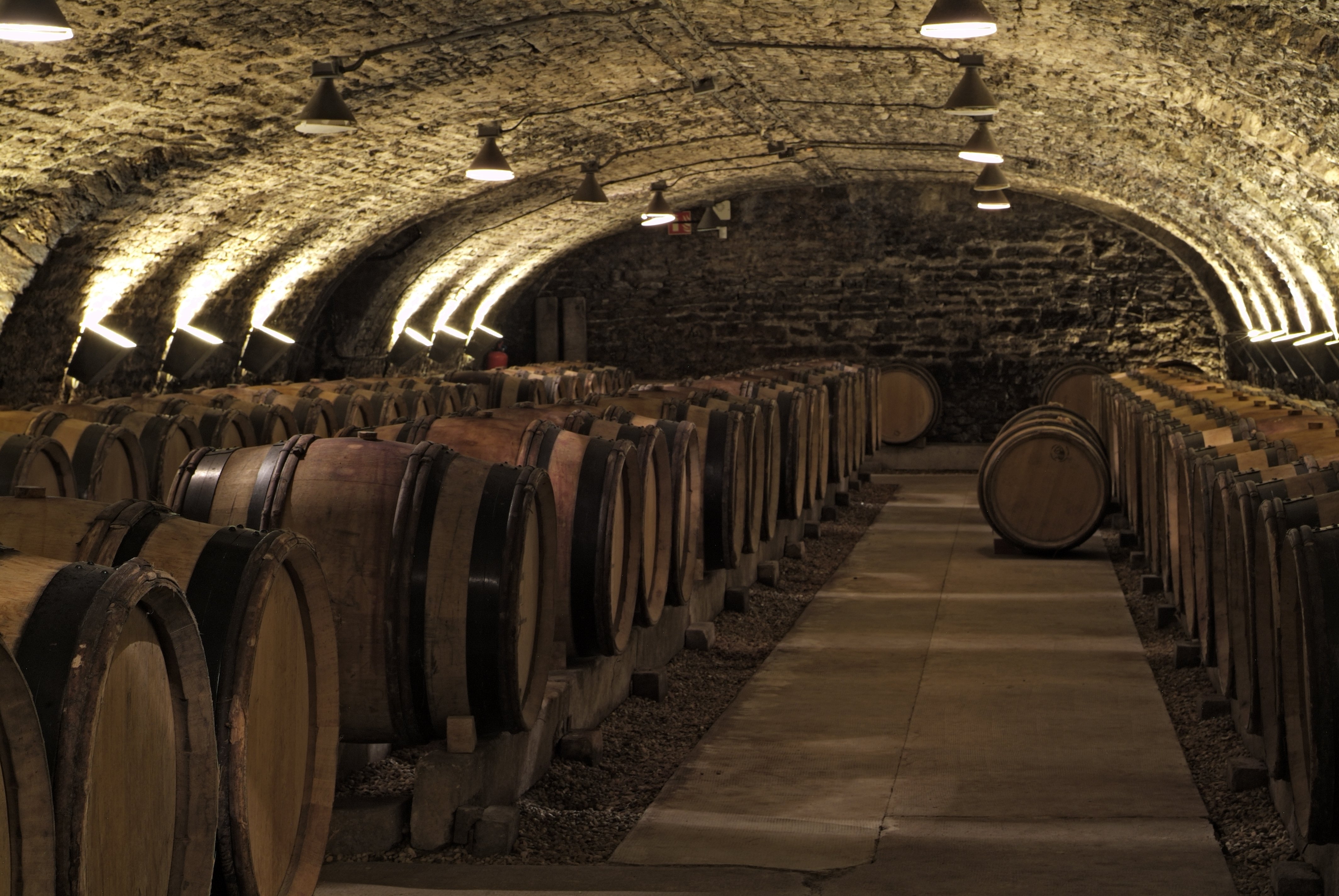 Caves de l'Hôtel-Dieu