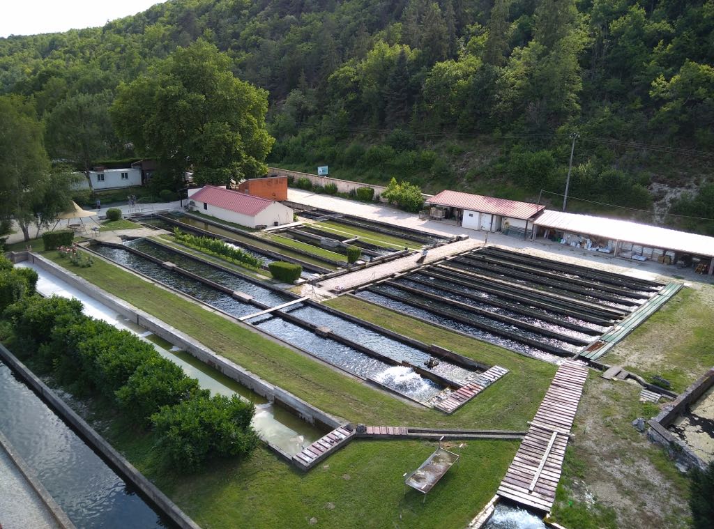 FERME AQUACOLE DE CRISENON