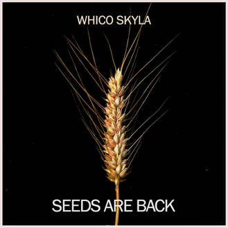 Seeds are Back