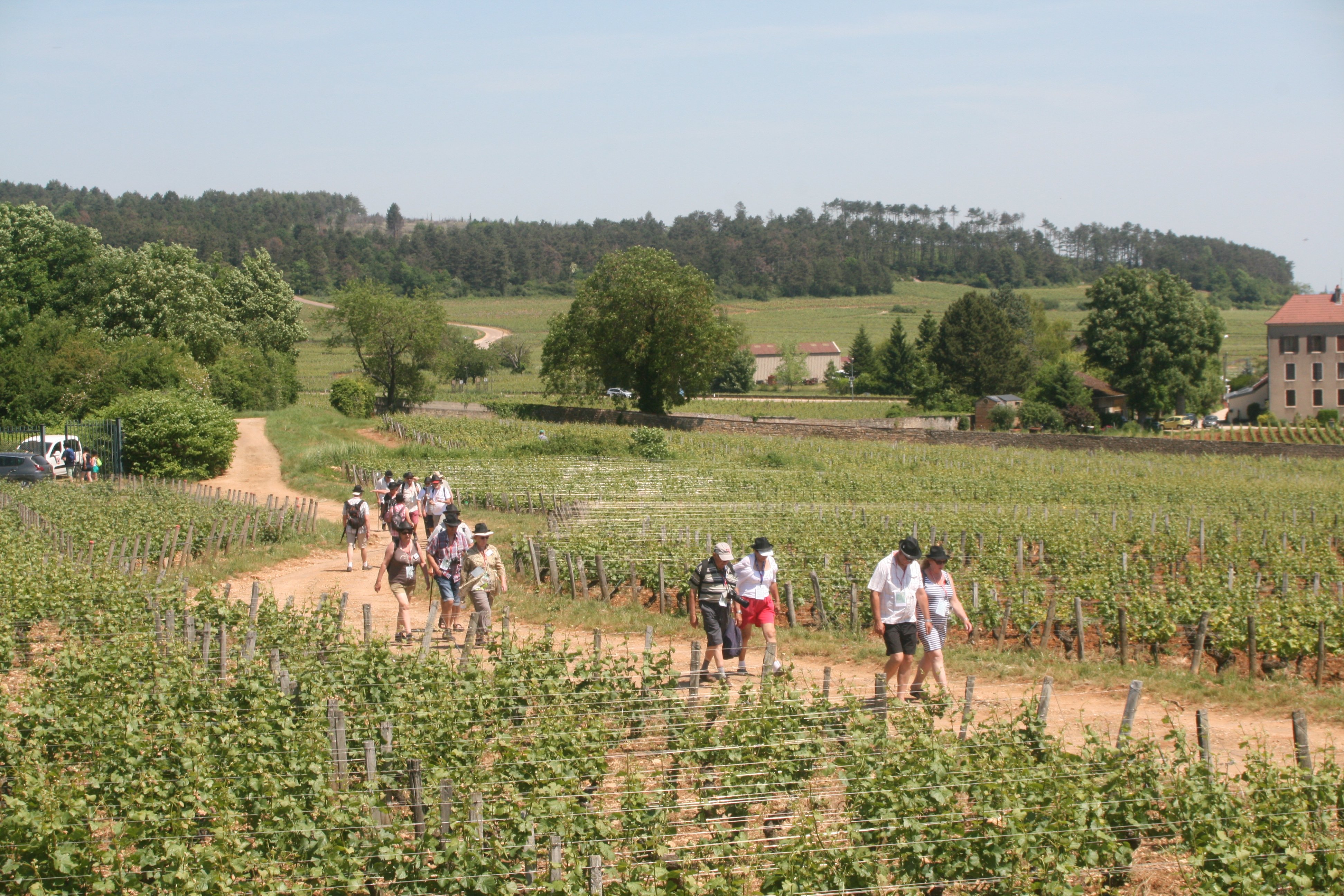 9-2017.05.28 Particip. entre Entrées et Plat chaud (148)
