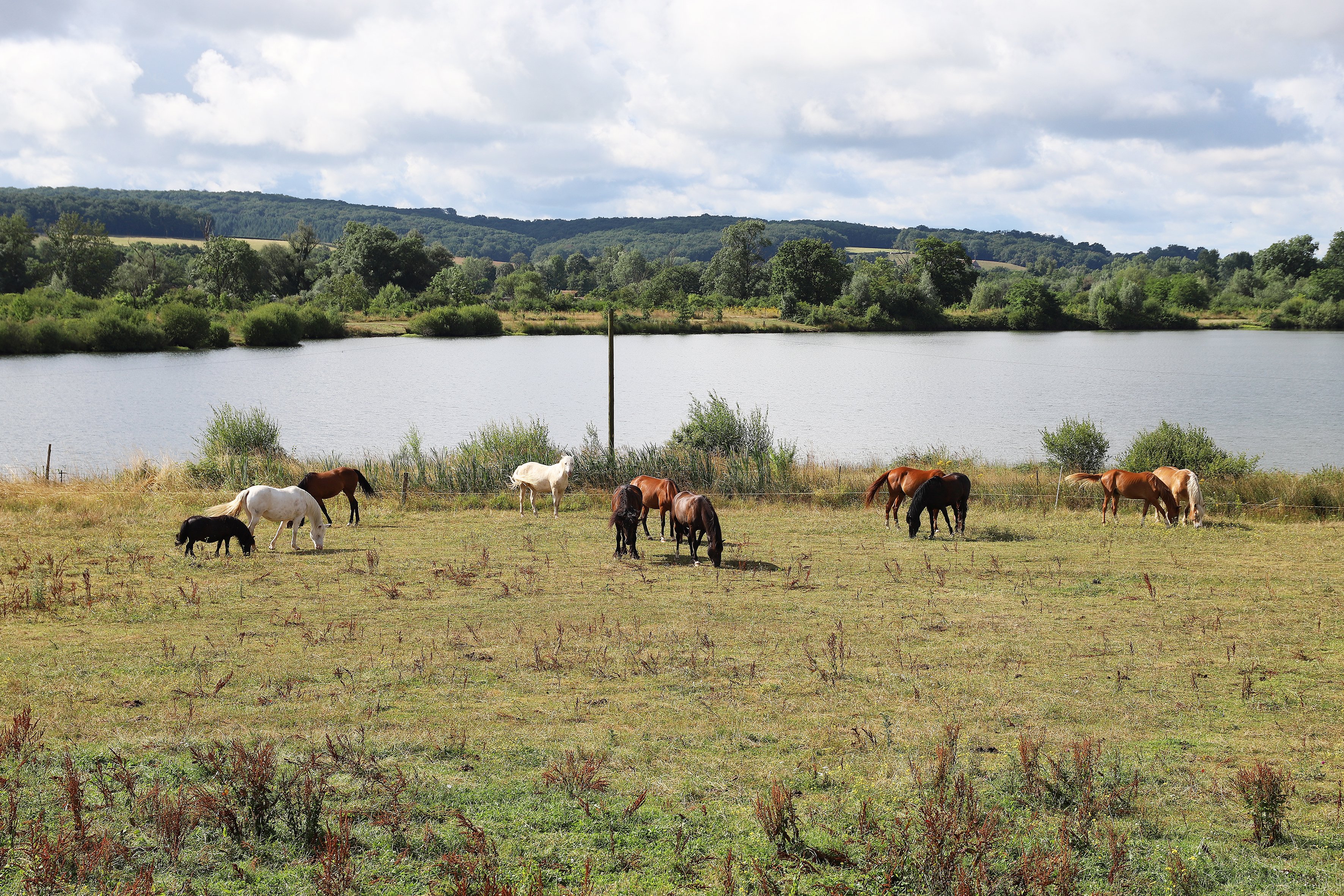 Paysage