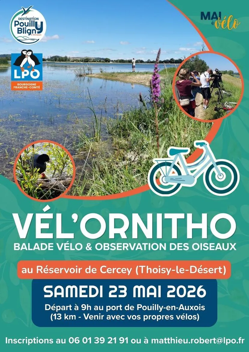Média additionnel 1