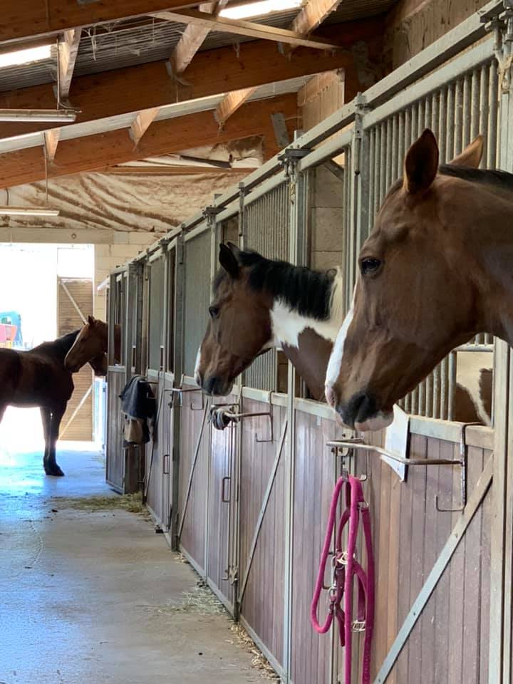 Centre équestre Les Écuries du Bois Ailé