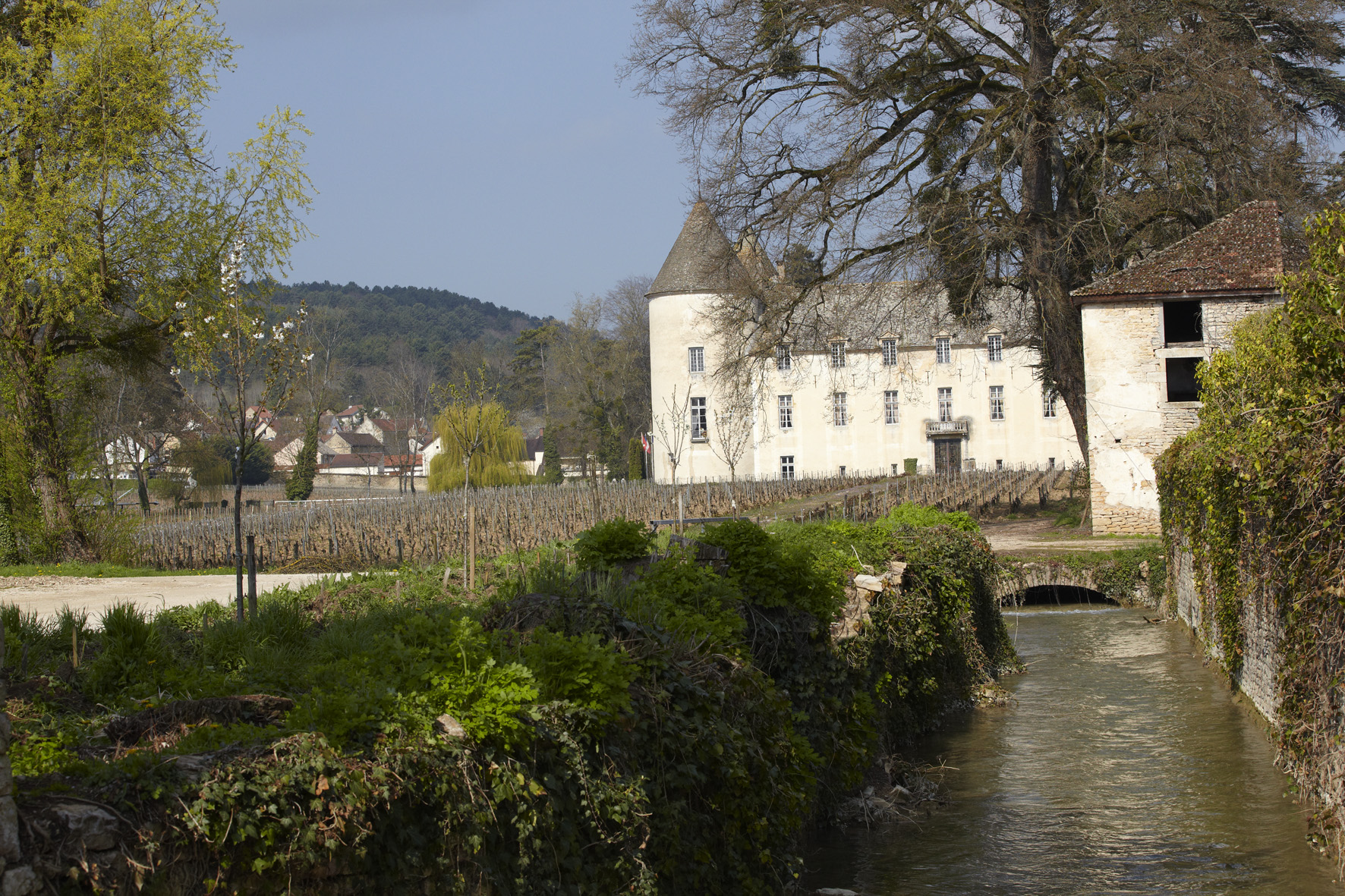 Office de tourisme Beaune & Pays Beaunois - BIT de Savigny-lès-Beaune  France Bourgogne-Franche-Comté Côte-d'Or Savigny-lès-Beaune 21420