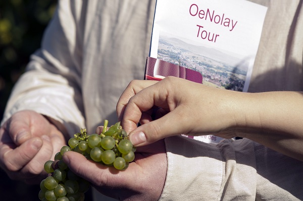 Oenotour