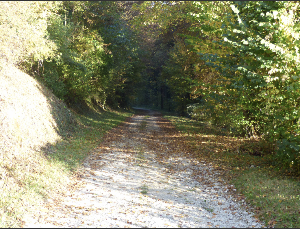 9A5CBF1E-9B38-4CC7-B87D-F5D054BB002B