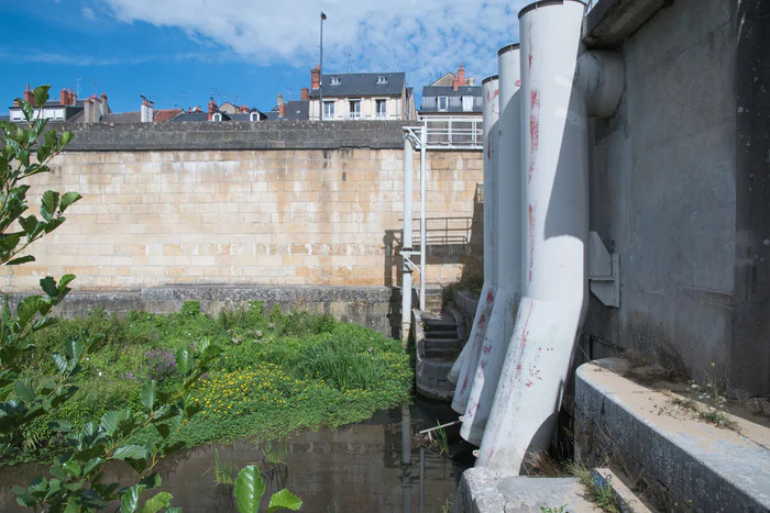 embouchure Nièvre - Loire