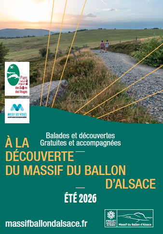 Autour des mines du Phanitor